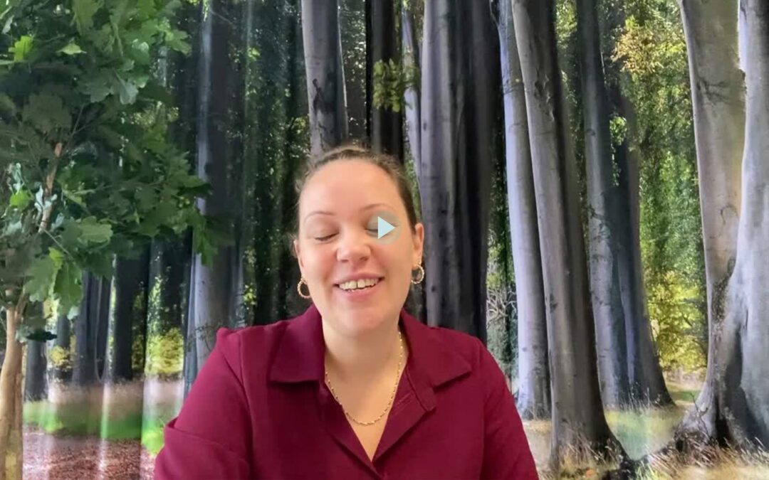 En ny kasse med legetøj