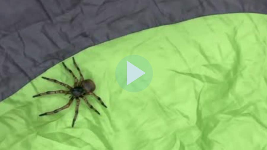 Et legemiljø indenfor