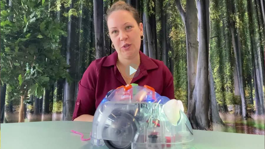 Jeg elsker Bluebotter – hvad kan de trække?