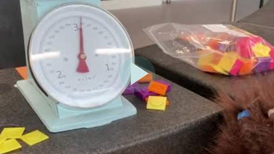 Vægte og ligevægte